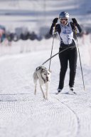 Lenk 2013